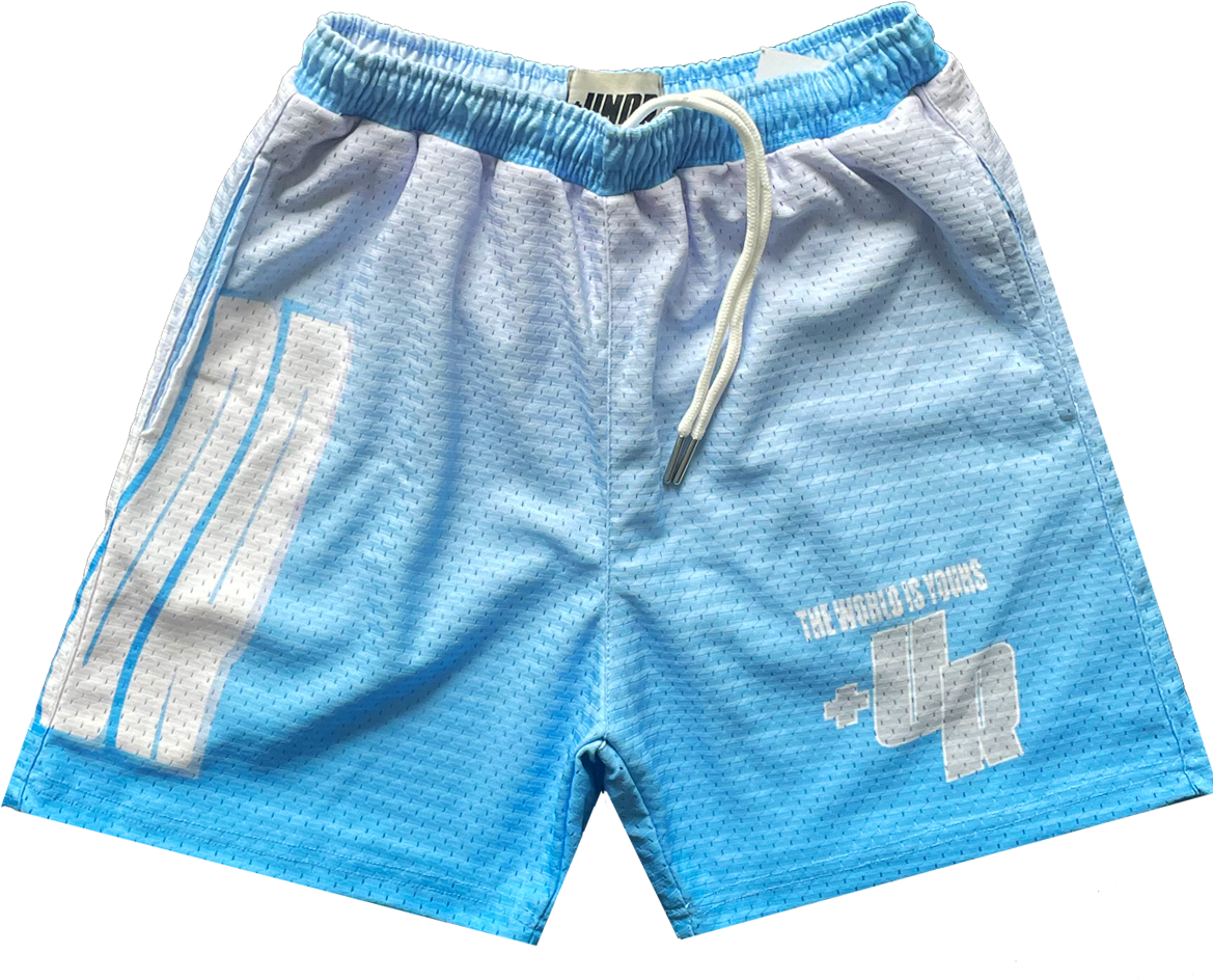 Wavy Mesh Shorts “Gray”