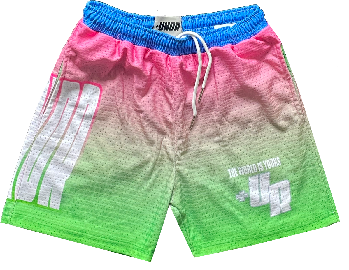 Wavy Mesh Shorts “White”