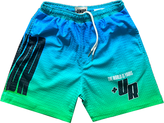 Wavy Mesh Shorts “Black”
