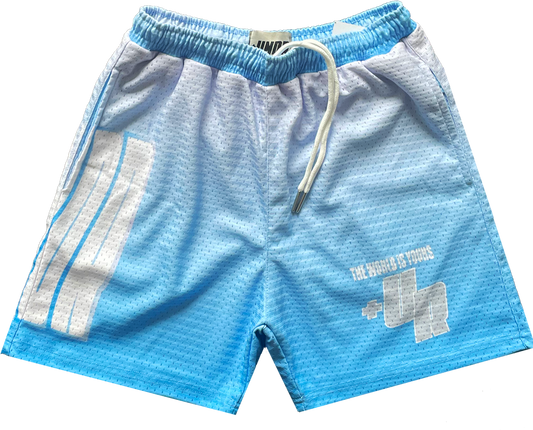 Wavy Mesh Shorts “Gray”