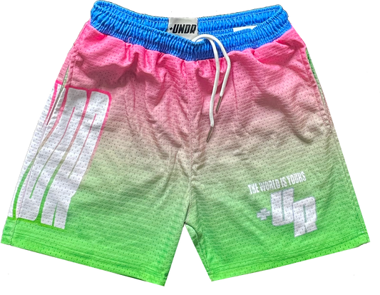 Wavy Mesh Shorts “White”